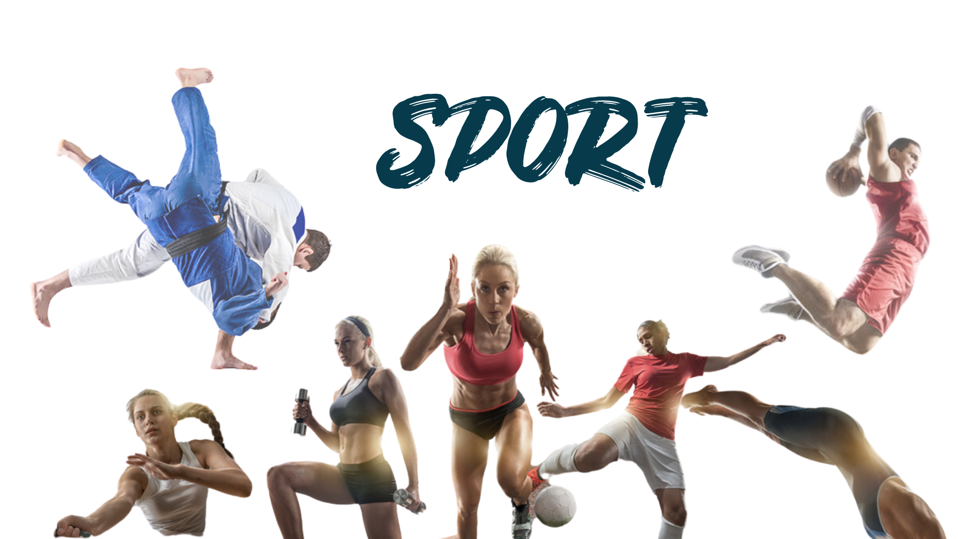 Catalogue Sport